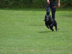 01.07.2023 offenes training 11